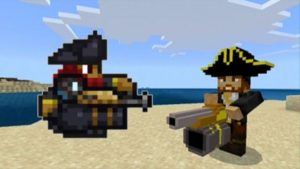 Terraria NPCs Pirate